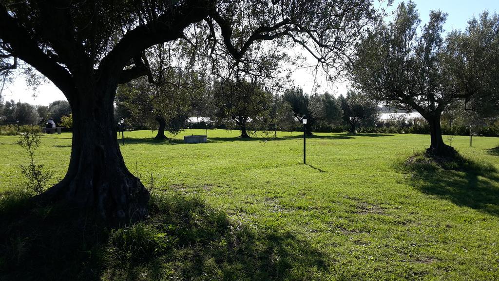 Villa Klinai Cerveteri Exterior foto